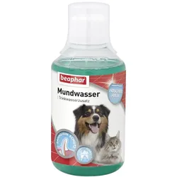 BEAPHAR Mundwasser Hund & Katze Mund- & Zahnpflege Flüssig 250 ml