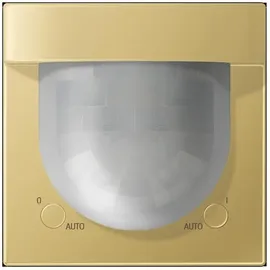 Jung Bewegungsmelder BT ME 17182 C