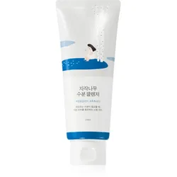 ROUND LAB Birch Juice Moisturizing Cleanser sanftes, schaumiges Waschgel mit regenerierender Wirkung 150 ml