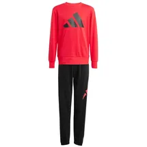 adidas Essentials Jogger Trainingsanzug rot 164
