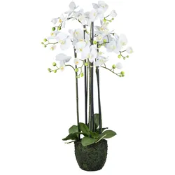 CREATIV green künstliche Pflanze Orchidee im Erdballen, 93 cm,  "Real Touch"