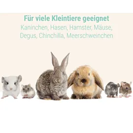 Schicker Mineral Kaninchen Buddelsand 0-1 mm - 25 kg, Sack