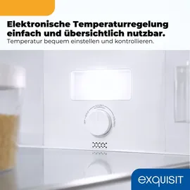 Exquisit KGC5265-70-NF-040C Kühl-Gefrierkombination (253 l, 1805 mm hoch, Silber)