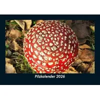 Vero Kalender Pilzkalender 2026 Fotokalender DIN A5 von Tobias