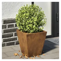 VidaXL Pflanzkübel 2 Stk. 30x30x30 cm Cortenstahl 889922