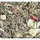 JR Farm Grainless Herbs Zwergkaninchen 5 kg