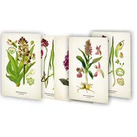 Quelle & Meyer Kunstklappkarten "Zauberhafte Orchideen"