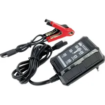 BAAS BA150 BA150 Automatikladegerät 6 V, 12V