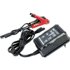 BAAS BA150 BA150 Automatikladegerät 6 V, 12V