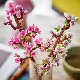 LEGO Botanicals Kirschblüten 40725