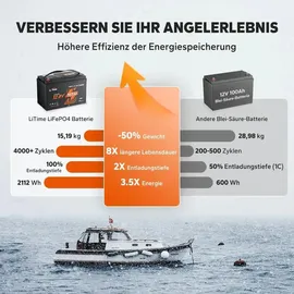 litime 12V 165Ah Dual-Purpose LiFePO4-Batterie mit Bluetooth 2,00 kWh