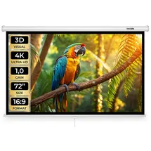 Tectake Beamer Leinwand Cinema Für 4K Hd Ultra Hd und Full Hd Gain Faktor 1 0 Wand Oder Deckenmontage 160 x 90 cm Weiß