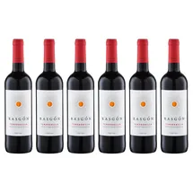 Bodegas Rasgon Rasgon de Maria Tempranillo 2019 6 x 0,75 l