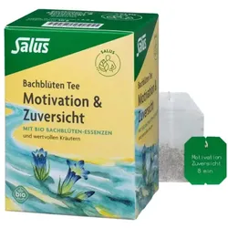 Salus Bachblüten Tee Motivation (15Btl)