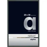 Nielsen Alpha Platin 20x30cm 1635019