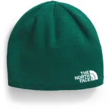 THE NORTH FACE Kids Jim Beanie, Evergreen, Größe L - L