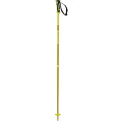 SALOMON Skistöcke ARCTIC Yellow, Yellow/, 120