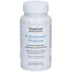N-Zymerase Protein