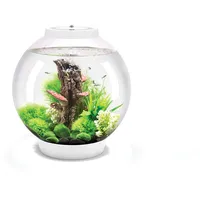 OASE biOrb CLASSIC 30 LED Aquarium 30 l mit LED-Beleuchtung weiß