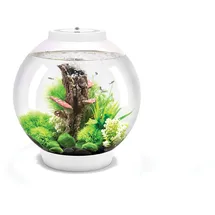 OASE biOrb CLASSIC 30 LED Aquarium 30 l mit LED-Beleuchtung weiß