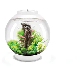 OASE biOrb CLASSIC 30 LED Aquarium 30 l mit LED-Beleuchtung weiß