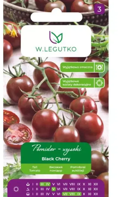 Hochgewachsene Freilandtomate Black Cherry – kirschartige Früchte, purpurbraun