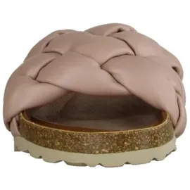 Verbenas Rai Roda rose 38