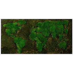 Bild mit Rahmen BÖNNINGHOFF "Moos", grün (farbe rahmen: weiß, farbe bild(er): grün), B:120cm H:60cm T:5,5cm, Holz, Bilder, jedes Bild ein Unikat, BxH: 120x60 cm