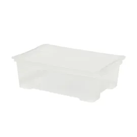 Rotho Aufbewahrungsbox Evo Easy 30 l Kunststoff Transparent