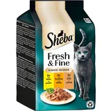 Mars Fresh & Fine Huhn, Truthahn & Ente in Sauce 36 x 50 g