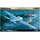 eduard F4F-4 Wildcat early 1:48