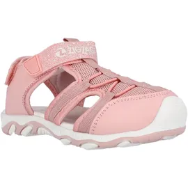ZigZag Fipa Pink 23