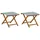 vidaXL Gartenliege 2 pcs Massives Eukalyptus Holz 2 x Mehrfarbig