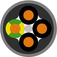 Lapp ÖLFLEX® SMART 108 10030099 R100