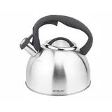 Michelino Wasserkessel Flötenkessel 2,4 l Grau