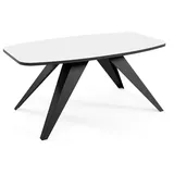 Feldmann-Wohnen Couchtisch Luna 120 x 60 x 48 cm Icy Weiß