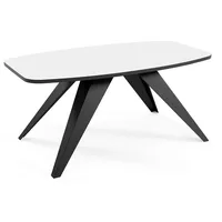 Feldmann-Wohnen Couchtisch Luna 120 x 60 x 48 cm Icy Weiß