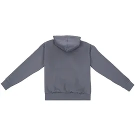 dropsize HEAVY OVERSIZE EMBO HOODIE - grau
