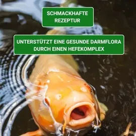 Kenkou Koi Fischfutter Allround 3 mm 5 kg