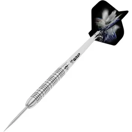 BULL'S Meteor MT4 Steel Dart (22 g)