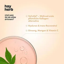 hay herb Kollagen Aufbau Komplex Pulver 168 g