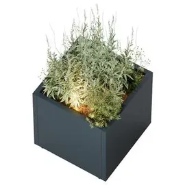 Herstera Garden Cube S Plus 50 x 50 x 50 cm Anthrazit