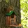 Relaxdays Eichhörnchen Futterhaus, Holz, Eichhörnchenfutterstation mit Maiskolbenhalter, Napf, Sitzplattform, Natur/grün, 1 Stück