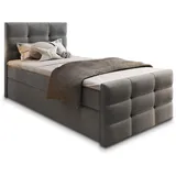 masseno Boxbett mit Bettkasten ¦ grau ¦ Maße cm B: 100 H: 98