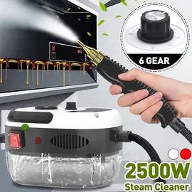 Decdeal Tragbarer Dampfreiniger 2500W weiß