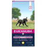 Eukanuba Puppy Large Breed 15 kg
