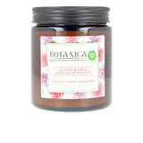 Airwick Botanica Duftkerze 205 g pink
