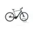 28 Zoll RH 58 cm goblin ́n ́glossy