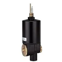 Riegler Automatisches Ablassventil A, G 1/4 IG / G