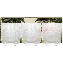 Don Papa Gläser Set – 3 Tumbler